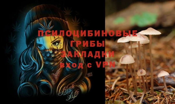 соль ск Сатка