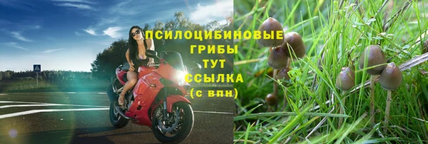соль ск Сатка